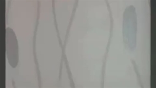 خرید کاغذ دیواری داماسک | پروان دکور 09376704544