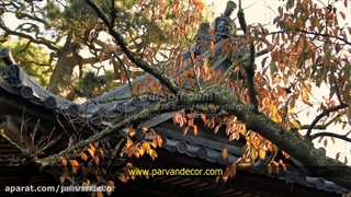 آموزش طراحی باغ و ویلا | پروان دکور 09376704544