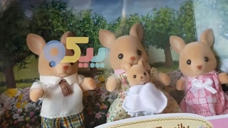 سیلوانیان فامیلیز | piccotoys.com