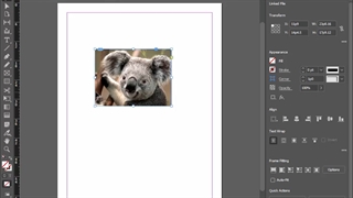 (indesign) ابزار انتخاب، اشکال آماده، arrange