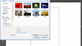 تصاویر وابسته و غیر وابسته و ماسک در ایلستریتور