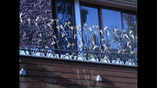 حفاظ روی دیوار حفاظ دات کام