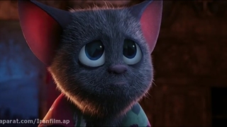 هتل ترانسیلوانیا1