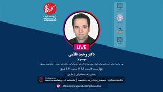 سخنرانی دکتر وحید غلامی در دومین همایش ملی حفاظت از ماهیان بوم‌زاد ایران