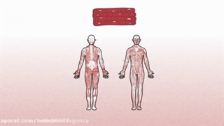 آموزش کارکرد عضله