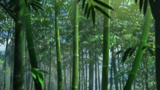 انیمه چینی A Will Eternal (اراده ابدی) قسمت 7 با زیرنویس فارسی