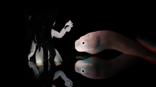 موزیک ویدیو جدید Loca از گروه Tri.be