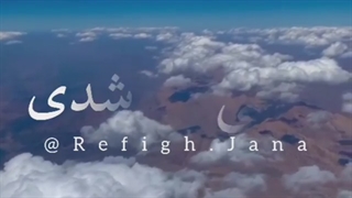 ماهی من شدی