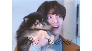 آخه هاپو هه چه گوگولیه منم موخوام