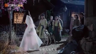 سریال چینی قلب زیبای گرگ (شاهدخت گرگ) قسمت 11 با زیرنویس فارسی /Exquisite Wolf Heart Chinese Drama 2021