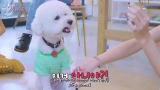 قسمت نهم ریلیتی شو 24/365 بلک پینک (blackpink) با زیرنویس فارسی چسبیده