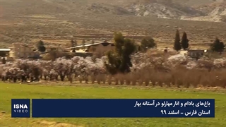 باغ‌های بادام و انار مهارلو در آستانه بهار