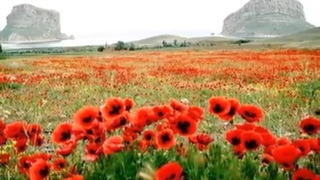 نوبهار...