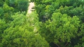 ۱۰ برابر آدم های معمولی!