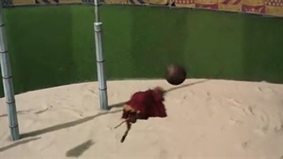 بخشی از مسابقه کوییدیچ در فیلم هری پاتر و تالار اسرار