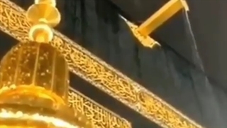 نیایش حلواچی