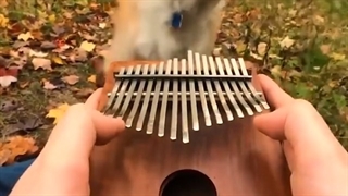 ﺁﻫﻨﮓ ﺯﻧﺪﮔﻴﺖ ﺭﺍ، ﺧﻮﺩﺕ ﻣﯽ ﻧﻮﺍﺯﯼ ! | کلینیک تخصصی دندانپزشکی کانسپتا