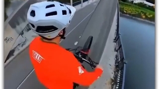 شجاعت یا حماقت؟ | دکتر سعید قریشی