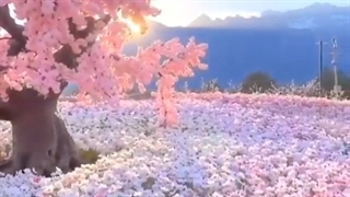 کلیپ زیبای قرآن