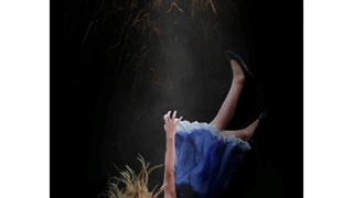 Alice in the wonderland2