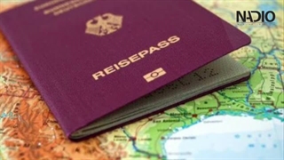 مهاجرت کنیم یا نه؟- NADIO