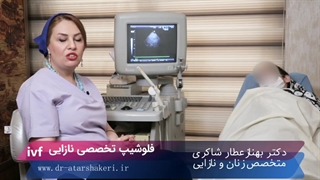 بی بی چکم مثبت شده ولی آزمایش خون منفی
