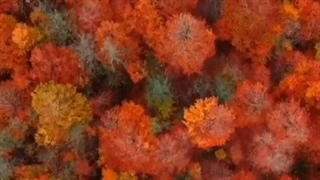جاده اسالم به خلخال