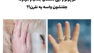 اینو ببینین خیلی باحالهه