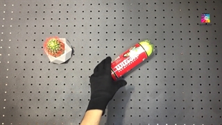 معرفی بهترین توپ تنیس ویلسون مدل Championship