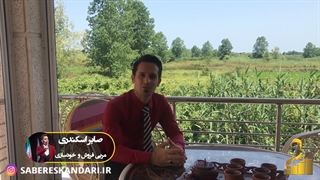 روانشناسی قیمت گذاری(صابر اسکندری | بیزینس کوچ )