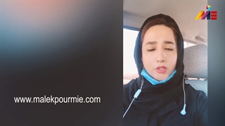 پاسخ استاد ملک پور در خصوص کار در هلند