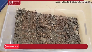 نحوه ساخت تراریوم شیشه ای در باز