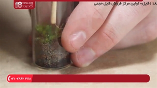 آموزش تصویری ساخت تراریوم ( باغ شیشه ای )