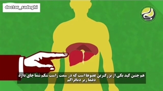 نقش کبد در بدن