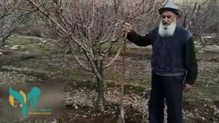جراحى در آقاى ٨٥ ساله