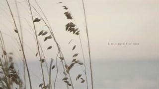 لیریک ویدیو August  از Taylor swift