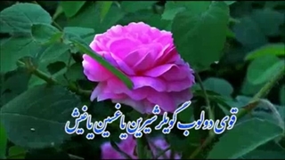 نماهنگ بایرام دعاسی