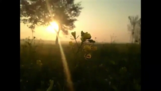 عیدتون مبارک*-*