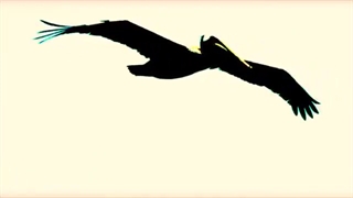 If you're frightened of dying