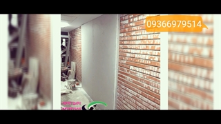 پاک کردن شوره دیوار آجری 09366979514