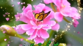 نوروز ۱۴۰۰ پیشاپیش مبارک.(به امید از بین رفتن کرونا در سال جدید)