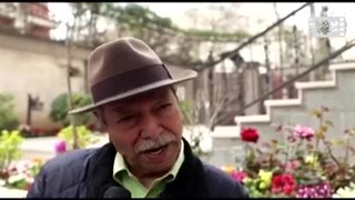 آرزوی هنرمندان و سینماگران برای سال جدید - iCinemaa.com