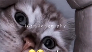 این خیلی کیوت بود =/