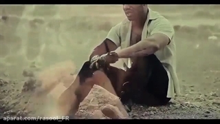 چرا امیر تتلو بد شد ؟