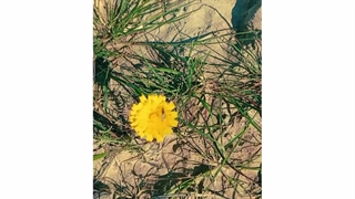 ویدیو های عاشقانه_ تنهایی _ غمگین_