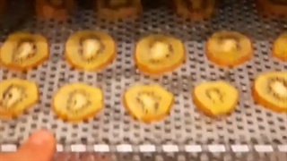 دستگاه خشک کن میوه و سبزی،خشککن پرتقال،کیوی،دستگاه خشک‌ کردن انگور،قیمت دستگاه خشککن میوه و سبزی،خشککن الو،لبنیات۰۹۱۹۸۱۹۰۹۸۹