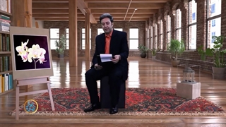 غزل سلمان هراتی با خوانش زیبای علیرضا بهرامی