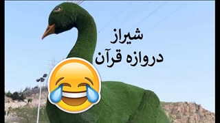 طنز شیرازی - طاووس دروازه قران