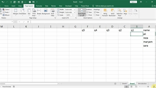 Microsoft Excel Entering Data in Cells