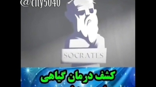 قیمت شامپو ریز رایس raysچقدره؟ 09120852440